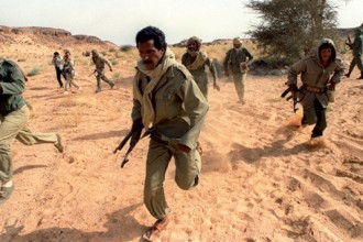 Koacinaute Maroc : Terreur et cruautés dans les camps de Tindouf